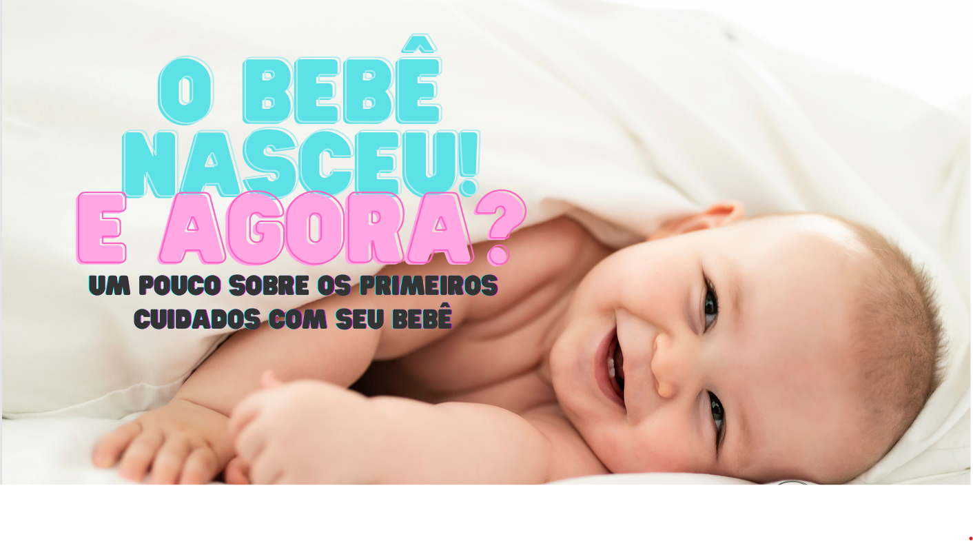 Capa do Ebook O Bebê Nasceu! E Agora?